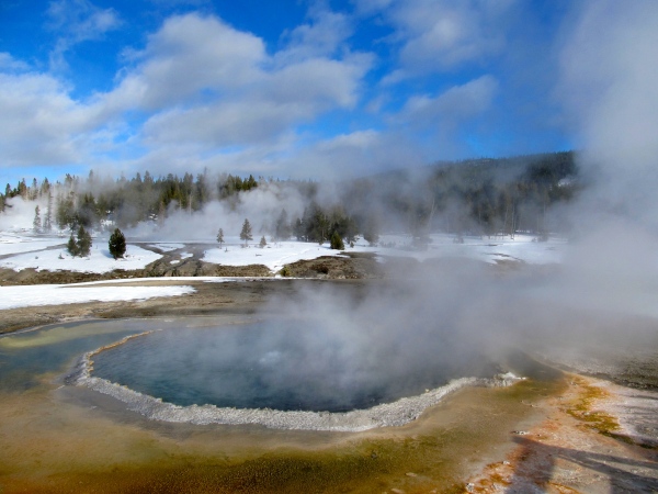 Morning steam rises from Crested Pool in the Upper Geyser Basin.
